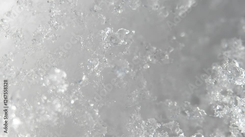 macro photography of melting snow