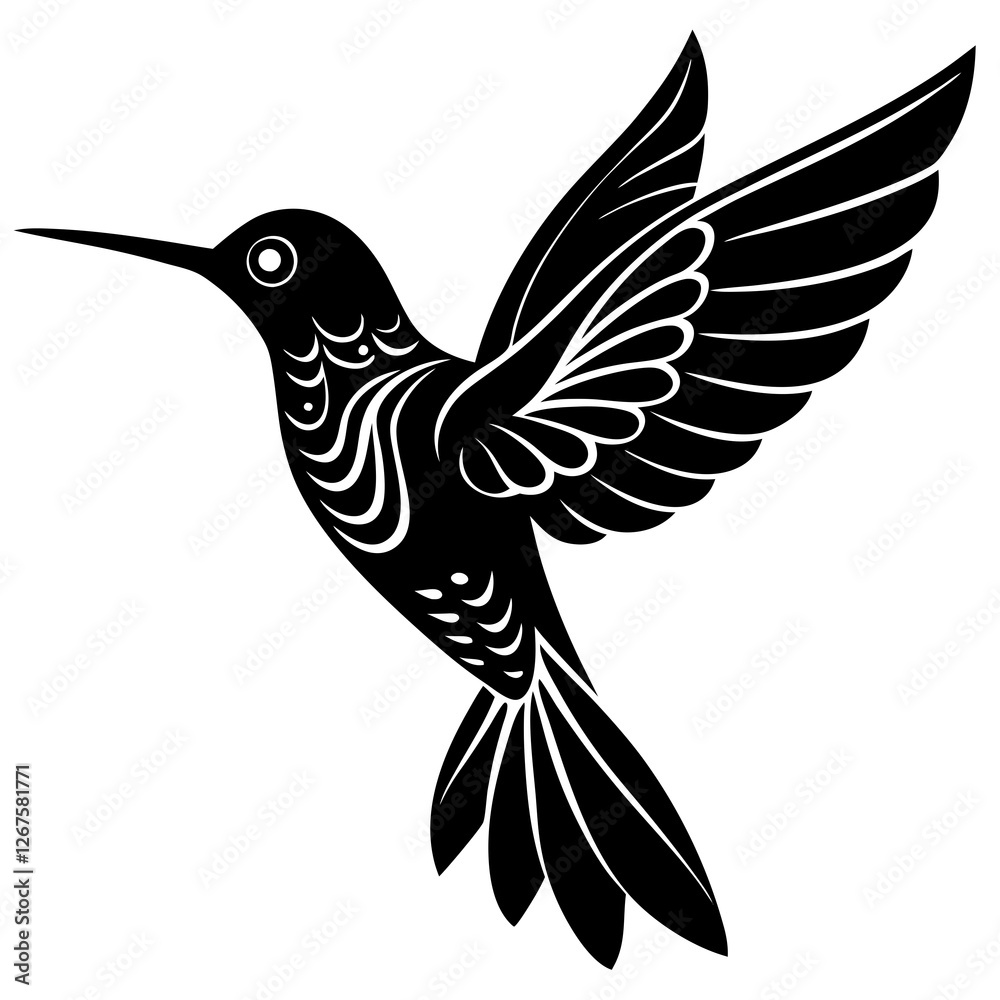 Obraz premium hummingbird vector illustration