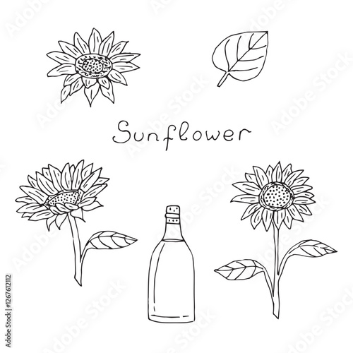 Sunflowers set, hand drawn sketch, vector illustration