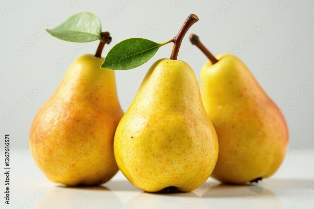 Cluster of three pears, varying ripeness, studio shot, ripe, delicious, food Cluster of three pears, varying ripeness, studio shot, ripe, delicious, food