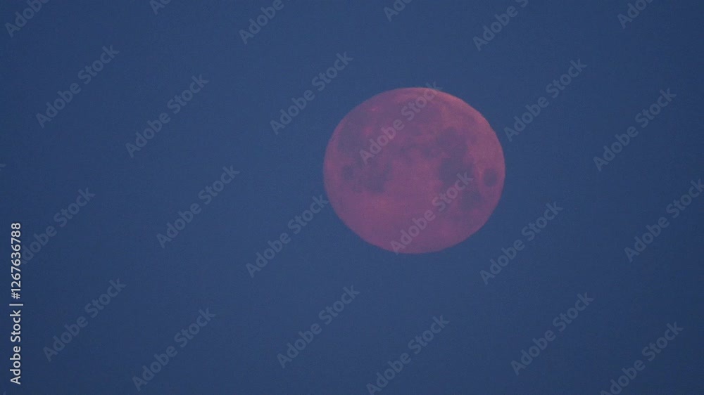 Beautiful pink moon rising over a clear evening sky in a serene location creating a tranquil atmosphere Beautiful pink moon rising over a clear evening sky in a serene location creating a tranquil atmosphere