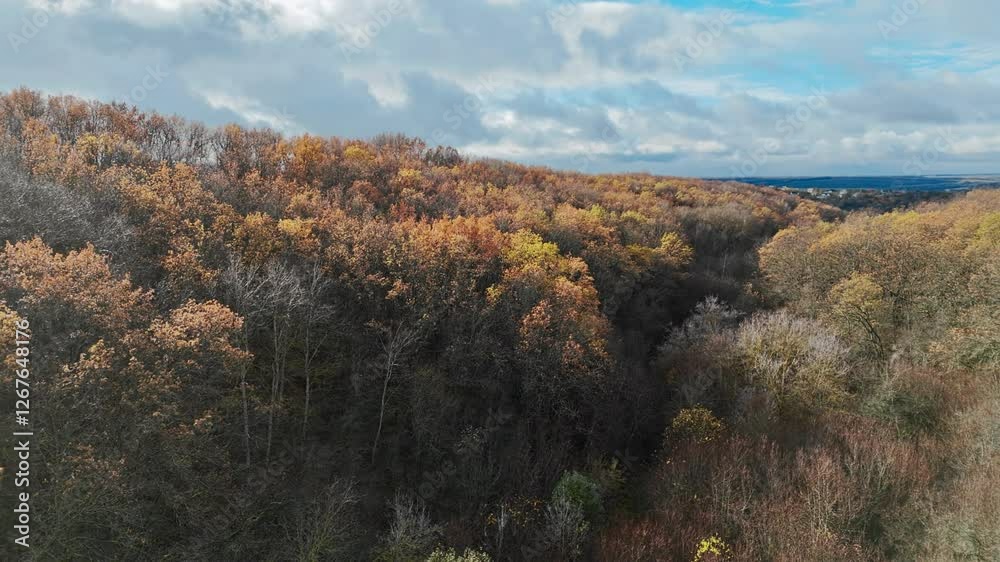 Aerial view of colorful autumn trees in the mountain countryside. Rays of sun on lens Aerial view of colorful autumn trees in the mountain countryside. Rays of sun on lens