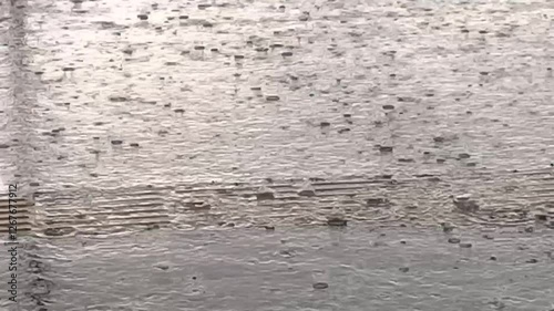 Rain in the city - raindrops fall on the asphalt