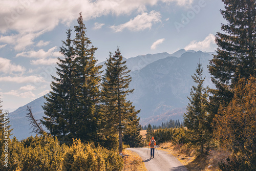 Obraz na płótnie Lone hiker walking on a mountain road surrounded by pine trees and enjoying the wilderness w salonie