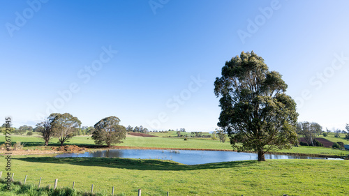 landscape with pond, tree and cloud in Tasmania, Australia