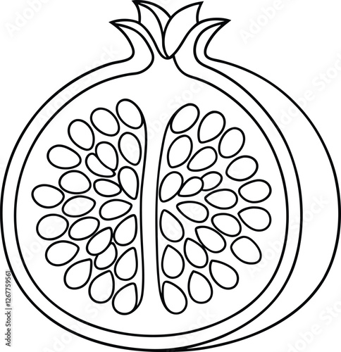 Pomegranate CrossSection Seeds, Arils, Fruit, Line Art, Drawing, Illustration, Botanical, Healthy, F