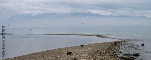 Beautifull scenery of lake Geneva taken in Laussane