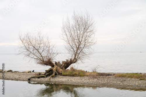 Beautifull scenery of lake Geneva taken in Laussane