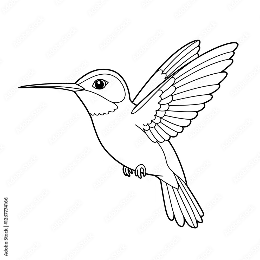 Fototapeta premium hummingbird coloring