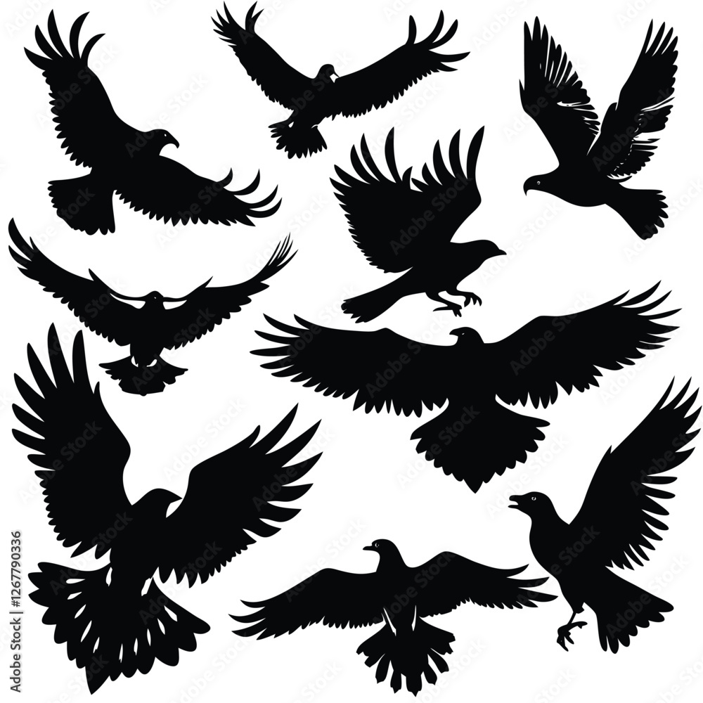 Fototapeta premium eagle vector set