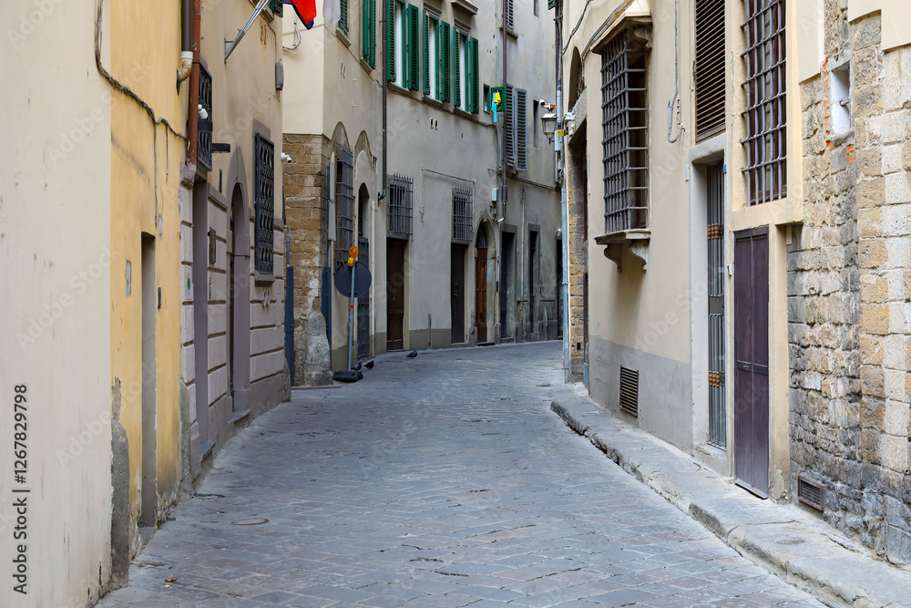 Fototapeta premium Houses along a narrow street in the old town of Florence where there is no traffic now