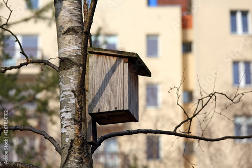 Nest box attached to a tree trunk in a park in a housing estate photo