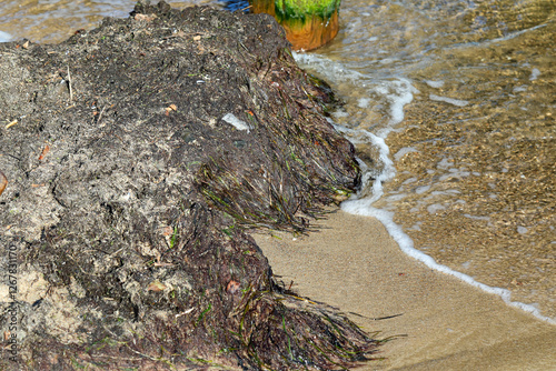 Wallpaper Mural Polluted seashore at the edge of the beach in Sopot, Poland Torontodigital.ca