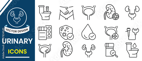 Urinary system icon vector set illustration. Linear icons of bladder control issues, diagnostics, bladder leakage symptoms, and urine lab tests. Outline of urinary system, kidney,  bladder,  gland.