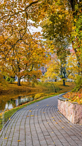 Old public garden park during a golden season of autumn