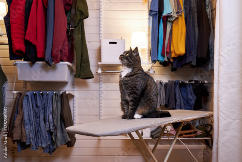 view of the clothes in the checkroom, organizing the order of the clothes