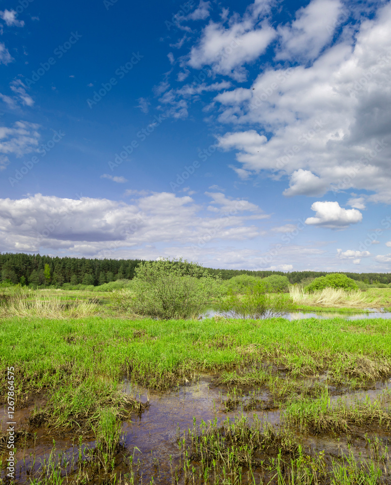 Obraz premium Field with a body of water in the middle
