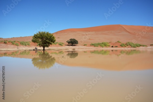 Wasser im Sossusvlei