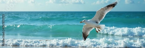 Seagull Flying Over Ocean Waves , nature, ocean waves, flying birds