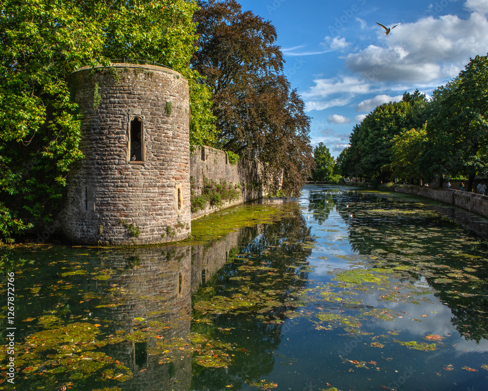 Fototapeta premium Bishops Palace and Moat in Wells, Somerset, UK
