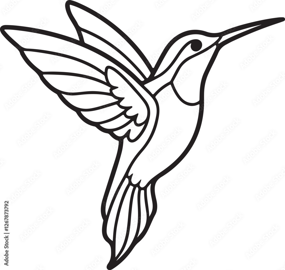 Obraz premium hummingbird line art, black outline, vector and illustration, line art&nbsp;and&nbsp;outline