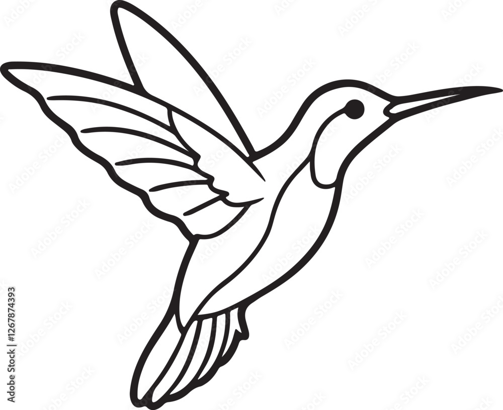 hummingbird line art, black outline, vector and illustration, line art and outline hummingbird line art, black outline, vector and illustration, line art and outline