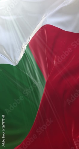 Flag of Madagascar. 4K Vertical. Loop photo