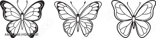 set of butterfly line art, black outline, vector and illustration, line art and outline