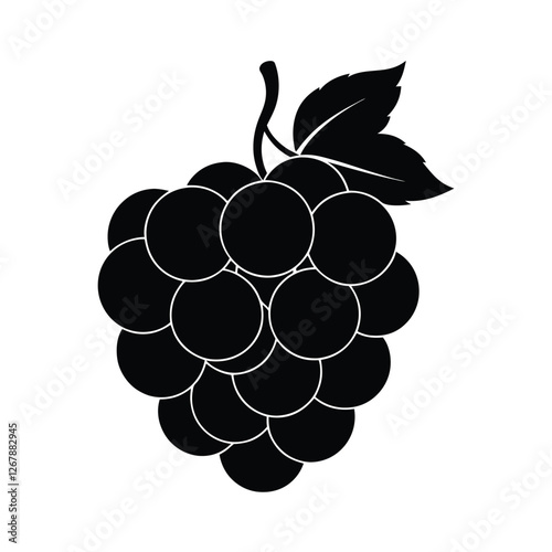 Burmese Grape Silhouette Vector | Black and White Burmese Grape Fruit Illustration & Design