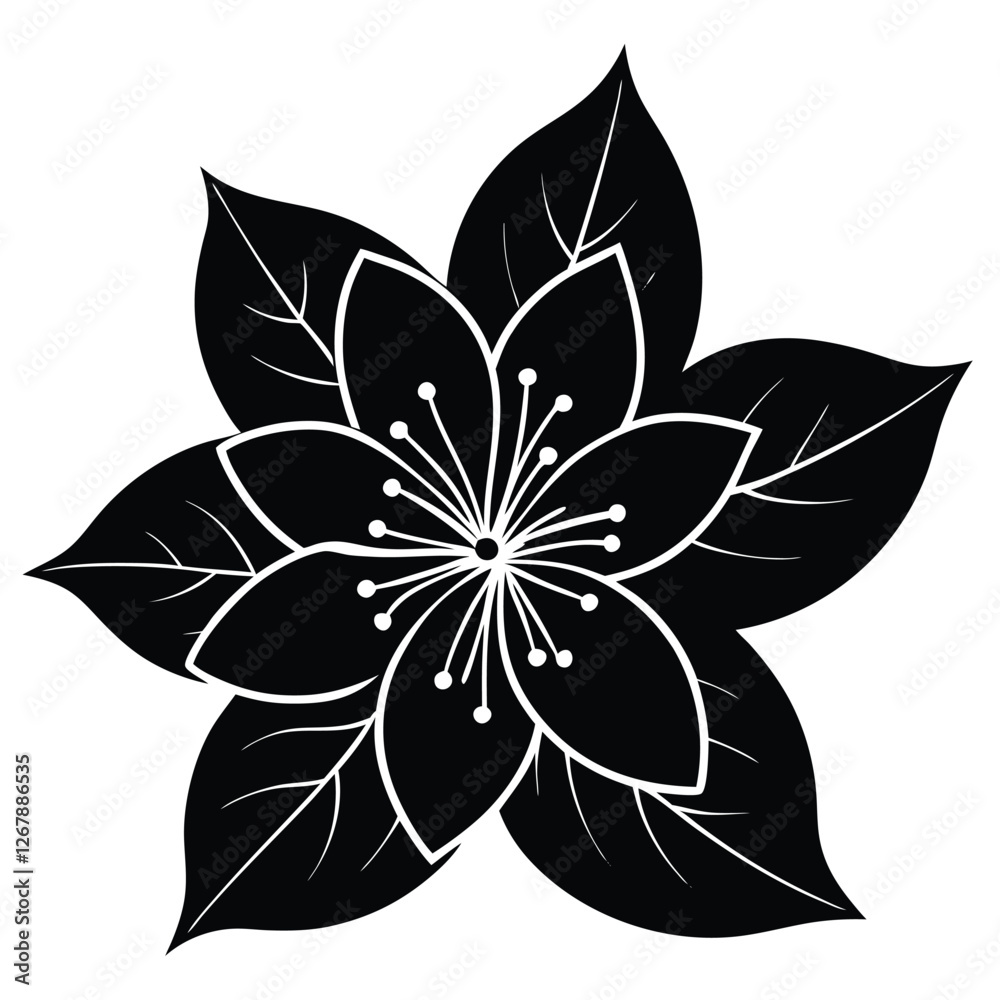 Fototapeta premium Jasmine flower black and white abstract flower