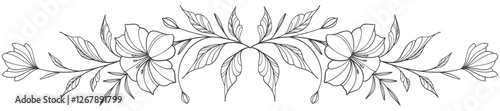Line art floral botanical on transparent background vector. floral, flowers, leaves, foliage, branches in hand drawn. Floral element design
