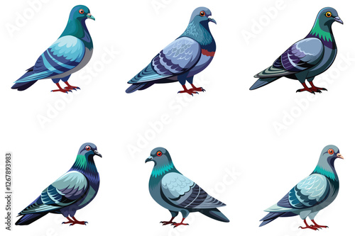 realistic or stylized pigeon vector illustration