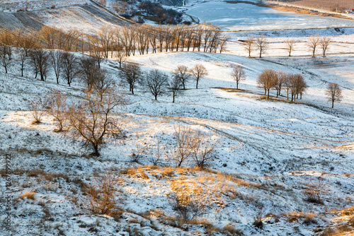 Landscape with beautiful nature during the cold winter season in the Republic of Moldova.