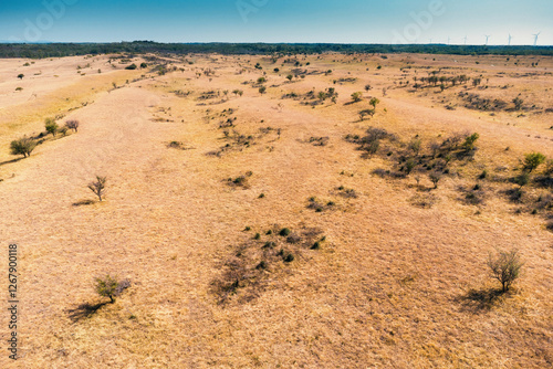 A panoramic aerial view of Serbia Deliblatska Pescara desert reveals a vast expanse of empty plains and rolling hills under a clear sky photo