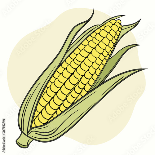 Fresh Golden Corn Cobs with Green Husks Organic Farm Produce Vector Illustration