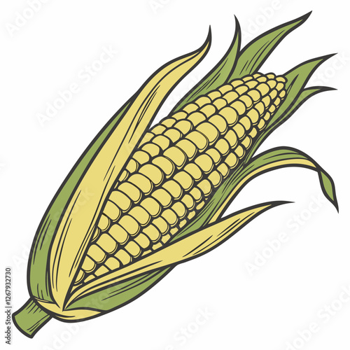 Fresh Golden Corn Cobs with Green Husks Organic Farm Produce Vector Illustration