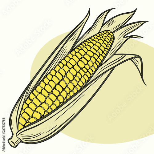 Fresh Golden Corn Cobs with Green Husks Organic Farm Produce Vector Illustration