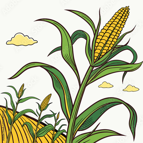 Fresh Golden Corn Cobs with Green Husks Organic Farm Produce Vector Illustration