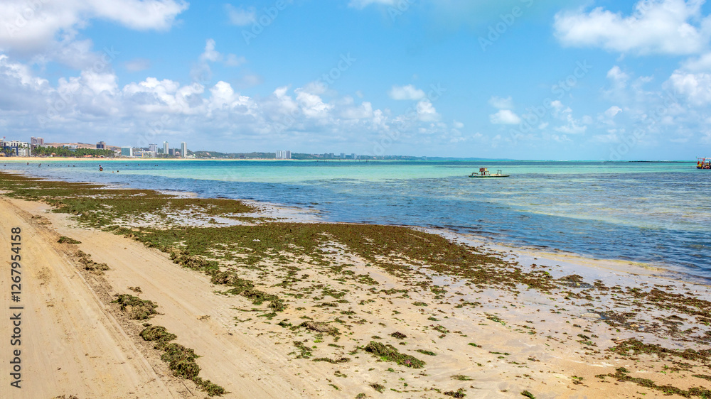 Obraz premium piscinas naturais nordestinas de Maceió, Alagoas, Brasil