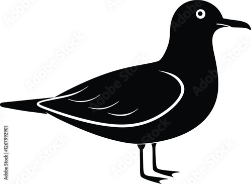 kelp gull vector icon.eps