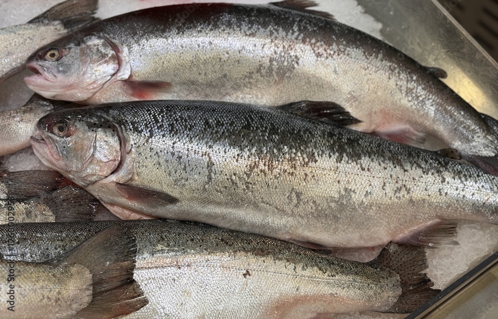 Raw steaks of rainbow trout chilled on shallow ice at the seafood market. An open shelf at the fish market Raw steaks of rainbow trout chilled on shallow ice at the seafood market. An open shelf at the fish market