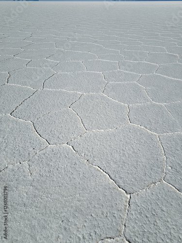 Salar de Uyuni. Salt flat in Bolivia