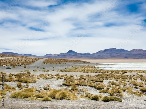 Landscape of the desert in Bolivia
