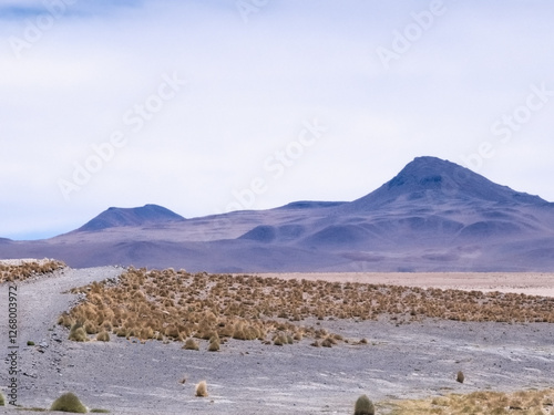 Landscape of the desert in Bolivia