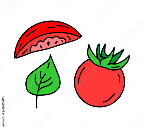 Vector color drawing of a whole tomato, its cut part and leaf on a white isolated background