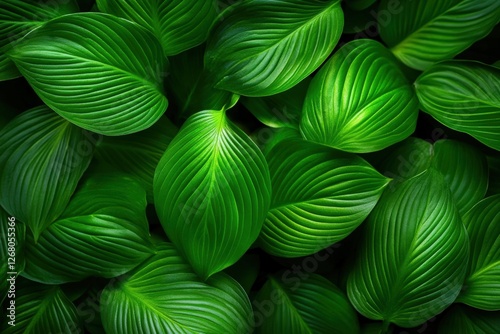 lush green leaves background with textured veins