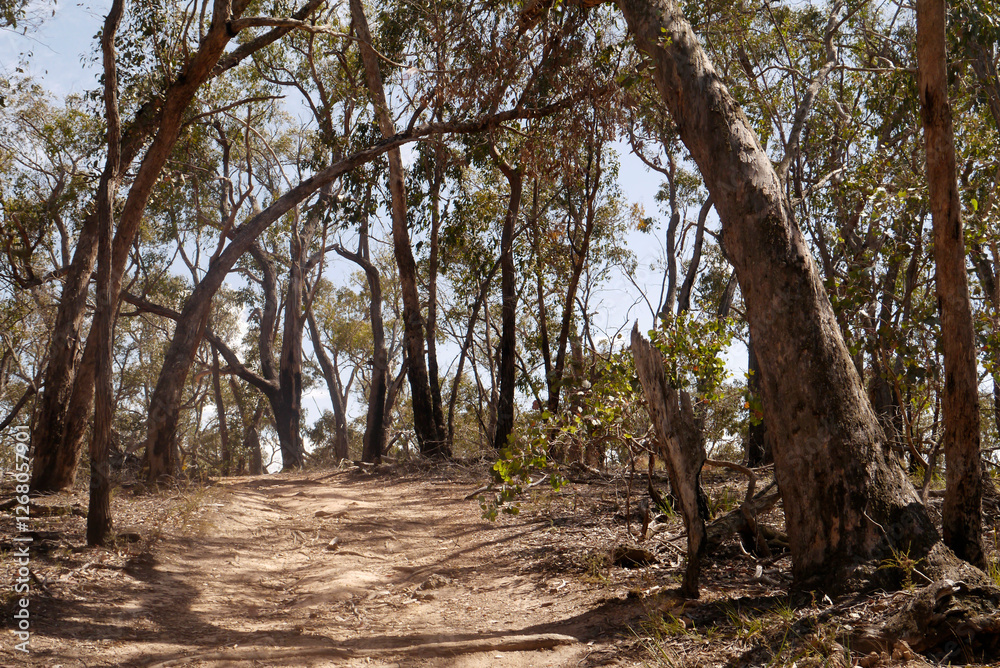 Glenlyon Walkabout, Australia 2016 Glenlyon Walkabout, Australia 2016