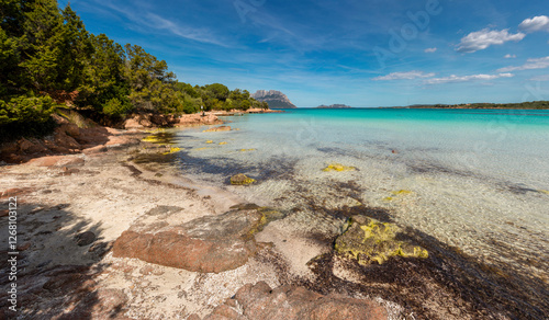Fototapeta Naklejka Na Ścianę i Meble -  Crystalline sea on the beach of Porto Istana, Olbia, Costa Smeralda, Sardinia, Italy