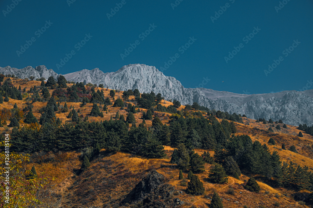 Fototapeta premium A colorful mountain autumn landscape on a sunny day with a deep blue sky.