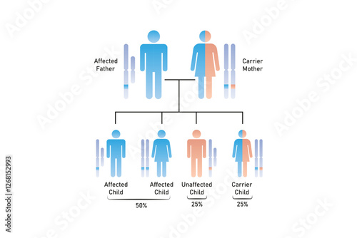 X-Linked Recessive Inheritance Science Design. Vector Illustration.